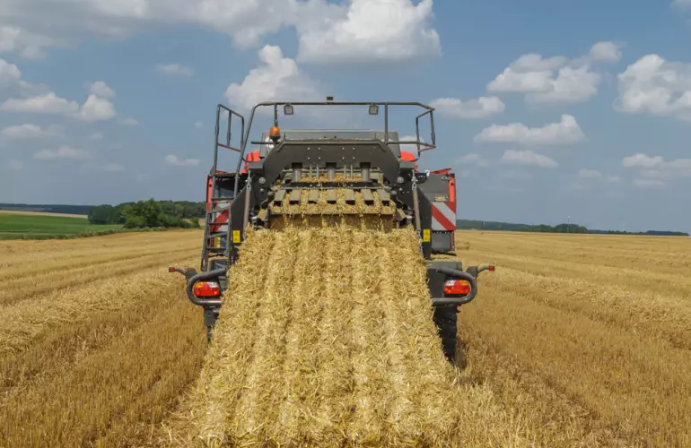 SB_1290_iD_210721336