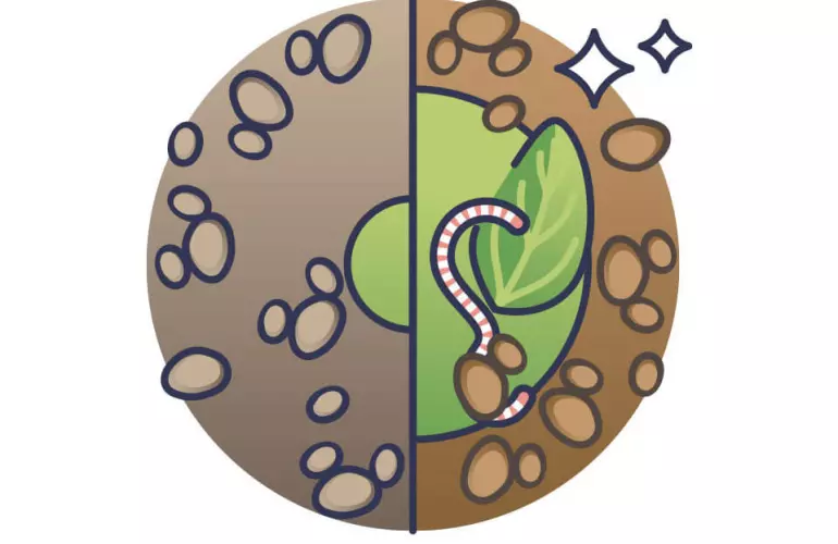 improving soil quality with organic matter and earthworms