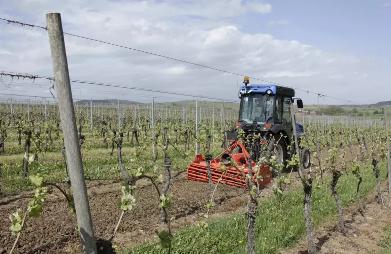 HRB 152 power harrow at work in vineyards