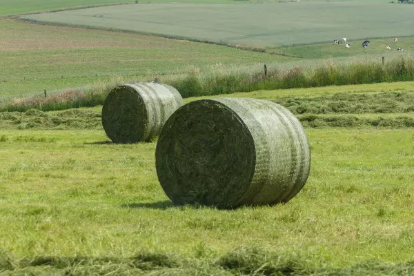 The net binder with active stretch technology ensures a firm bale shape.