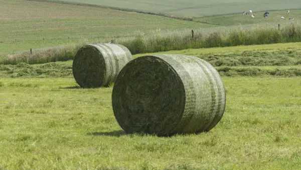 Active stretch technology ensures a firm bale shape with constant net tension.