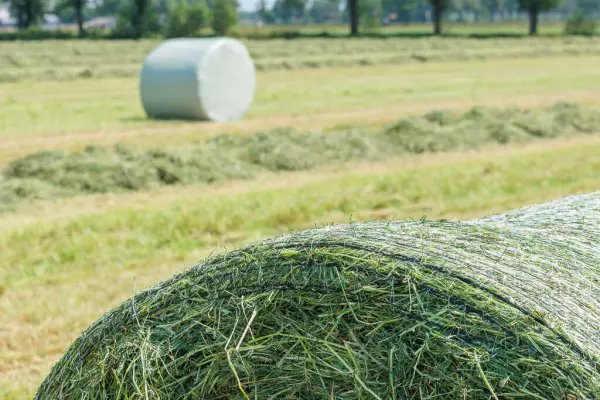 The net binding system prevents air pockets and provides optimal forage quality.