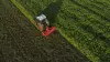 KUHN's EL BIOMULCH rotary tiller at work